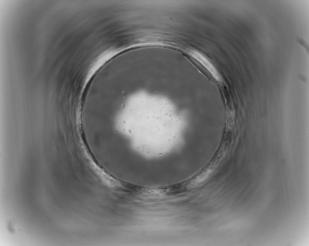 X0000099471101200805091542