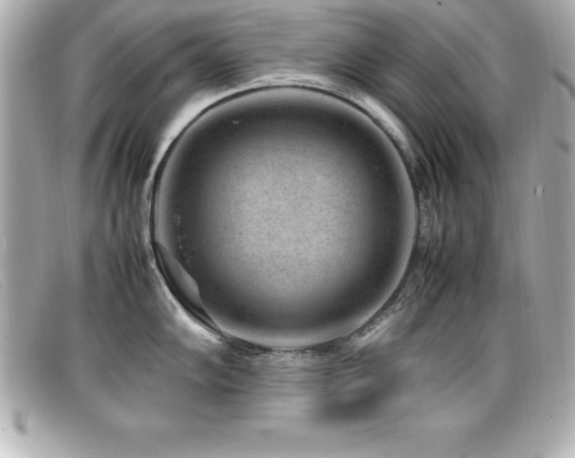 X0000099471102200805091542