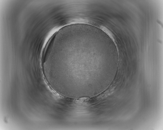 X0000099471104200805091542