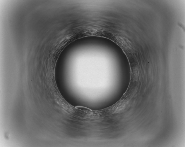 X0000099471105200805091541