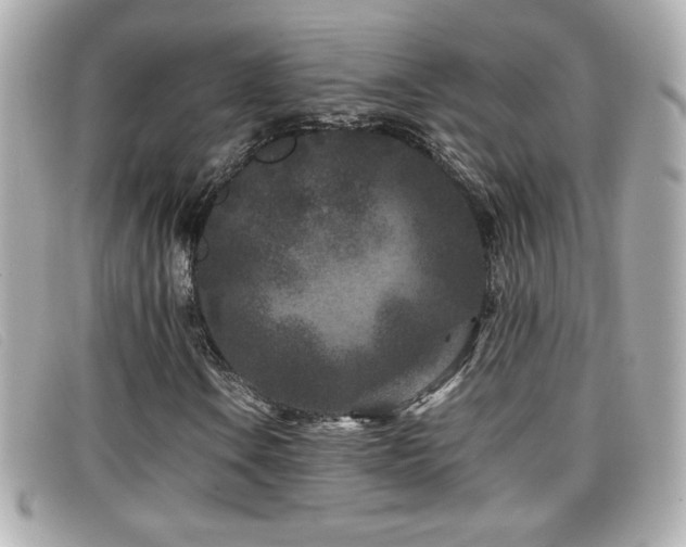 X0000099471106200805091541