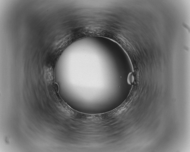 X0000099471107200805091541