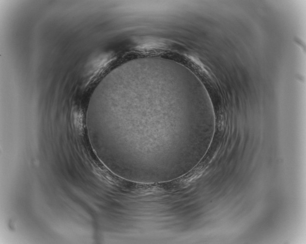 X0000099471108200805091541