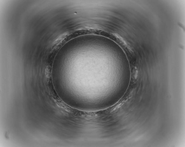 X0000099471110200805091541
