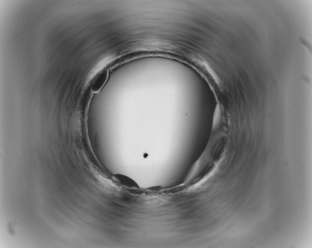 X0000099471114200805091541