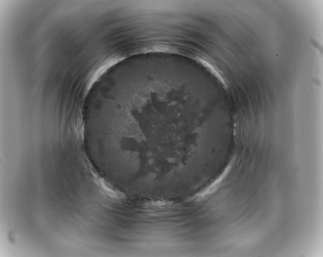 X0000099471117200805091541