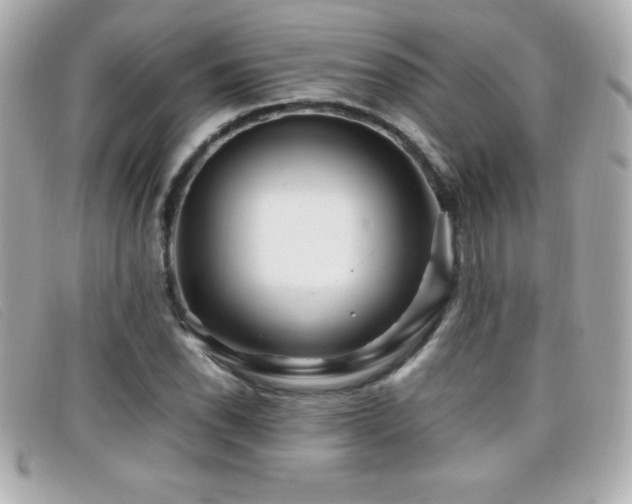 X0000099471118200805091541