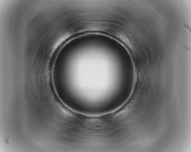 X0000099471119200805091541