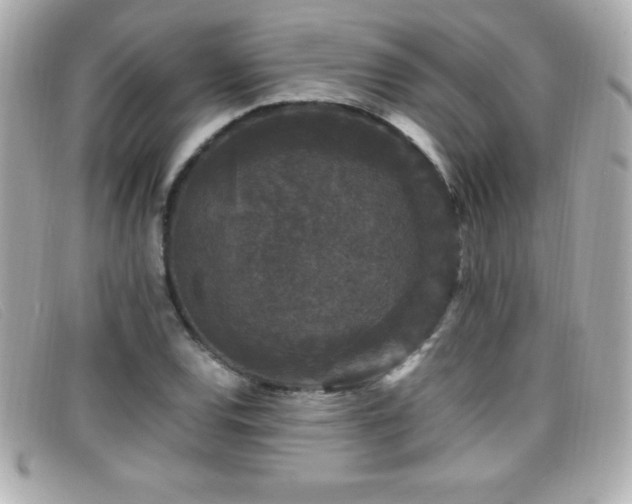 X0000099471120200805091541