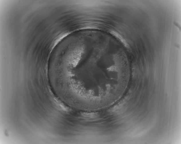 X0000099471121200805091541