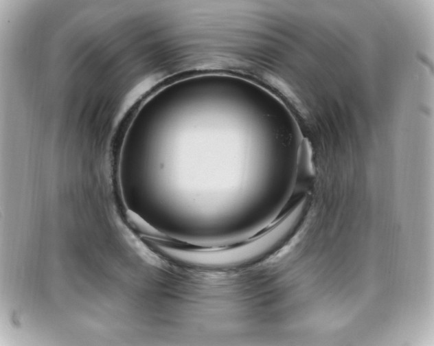 X0000099471122200805091541