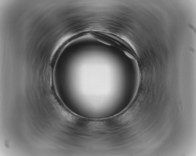 X0000099471123200805091541