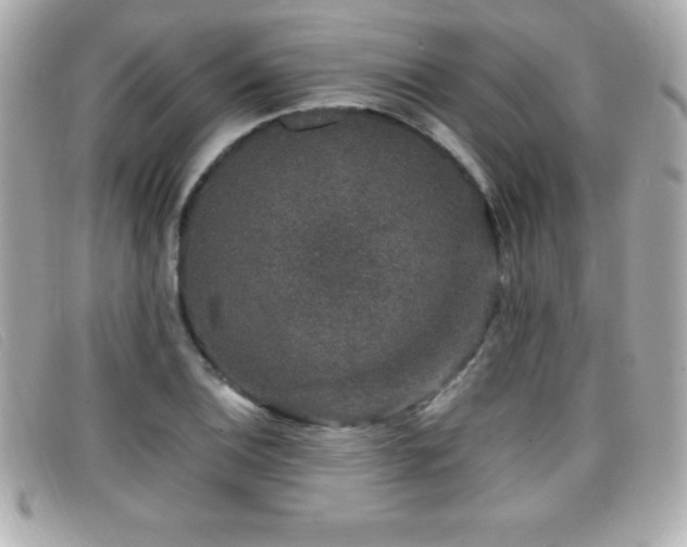 X0000099471124200805091541