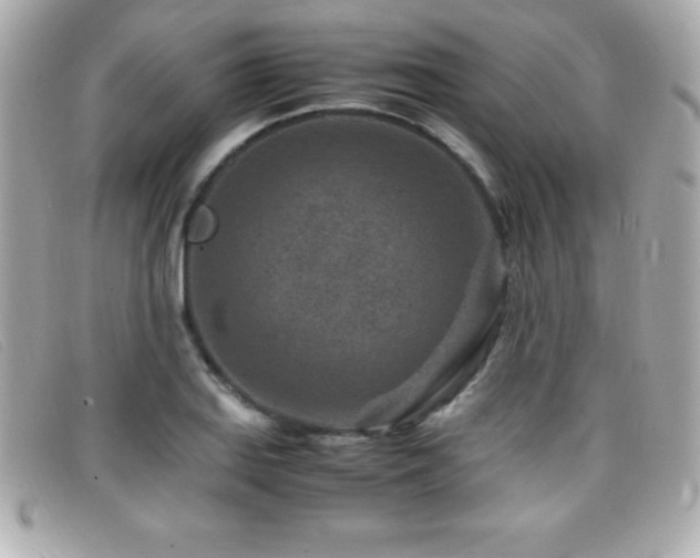 X0000099471127200805091541