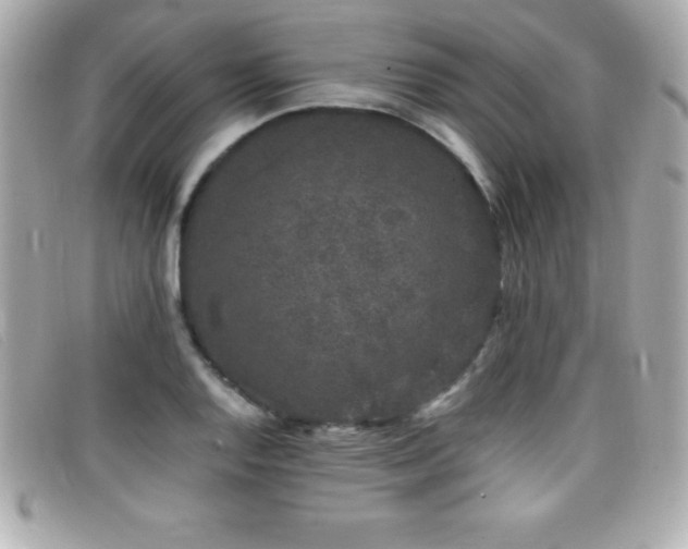 X0000099471128200805091541