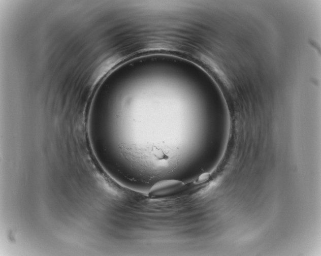 X0000099471129200805091541
