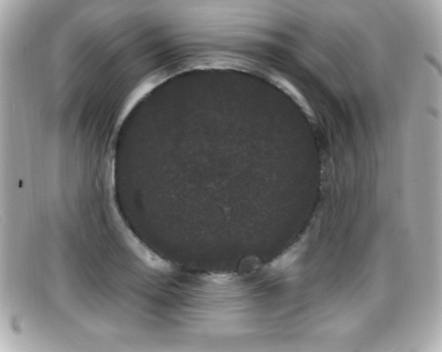 X0000099471130200805091541