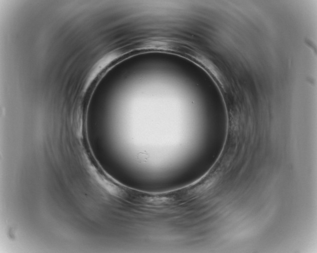 X0000099471131200805091541
