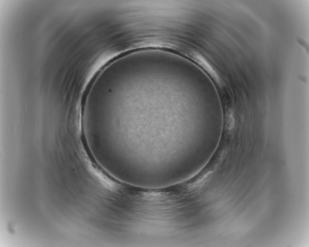 X0000099471132200805091541