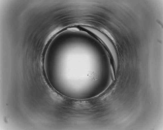 X0000099471133200805091541