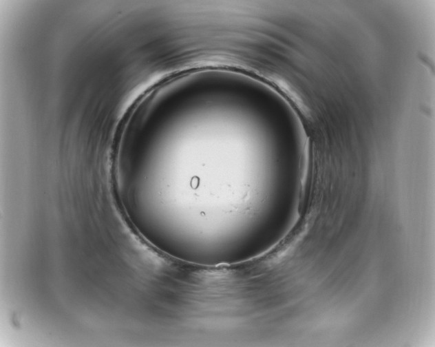 X0000099471134200805091541
