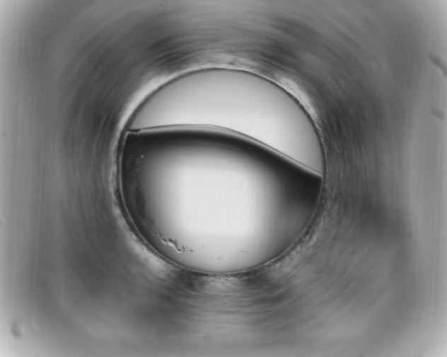 X0000099471136200805091541