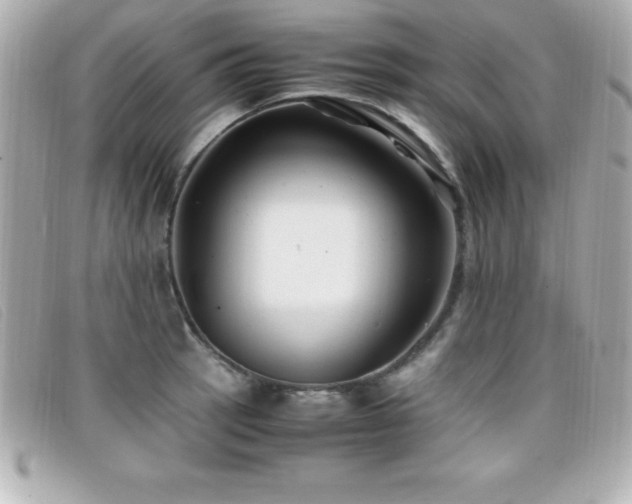 X0000099471137200805091541