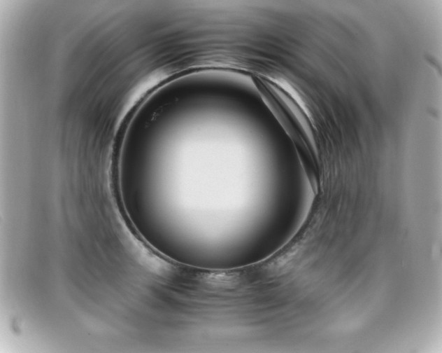 X0000099471139200805091542
