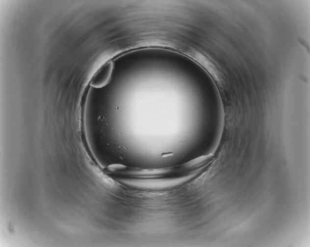 X0000099471140200805091542