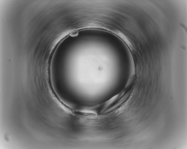 X0000099471142200805091542