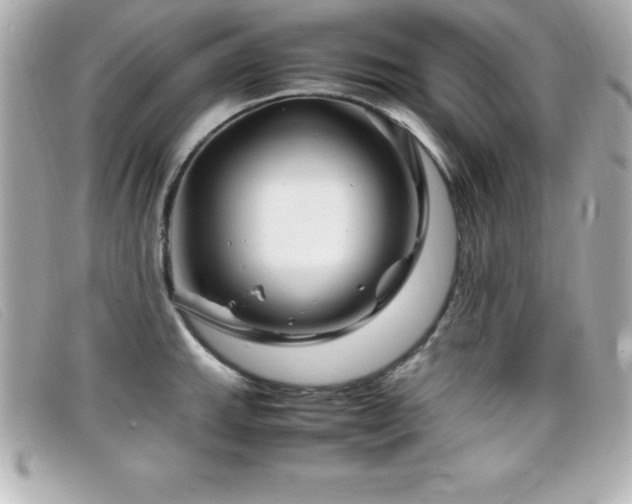 X0000099471143200805091542
