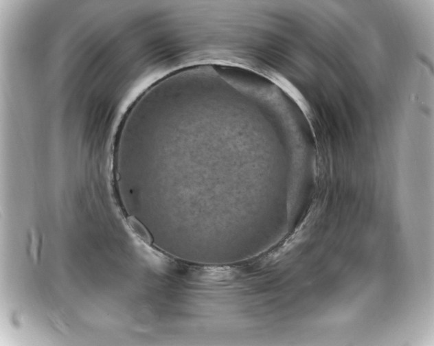 X0000099471144200805091542