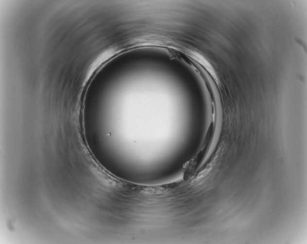 X0000099471146200805091542