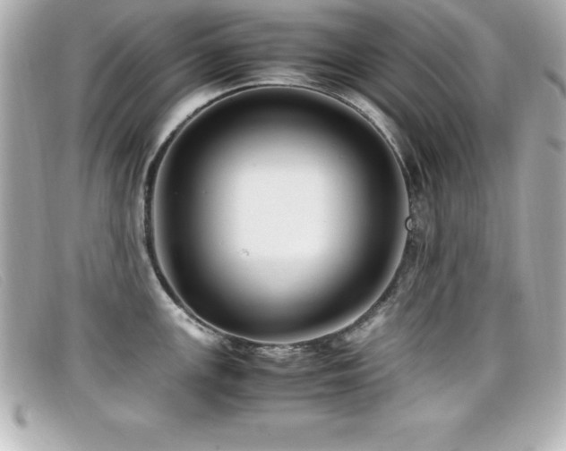 X0000099471147200805091542