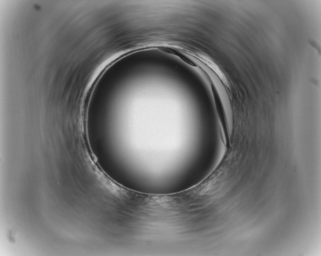X0000099471148200805091542