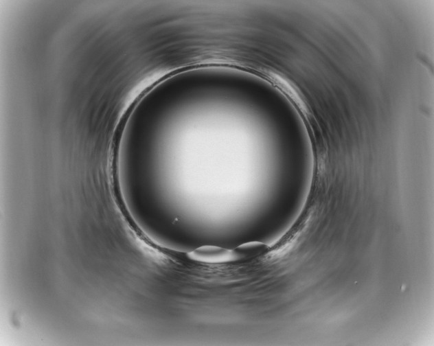 X0000099471149200805091542