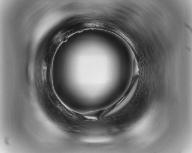X0000099471151200805091542