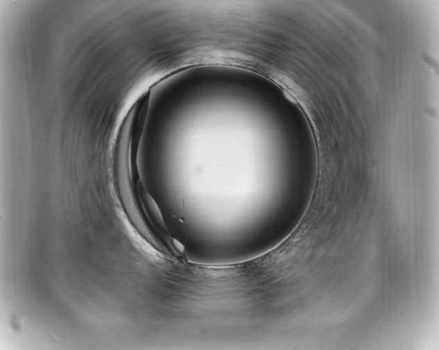 X0000099471152200805091542