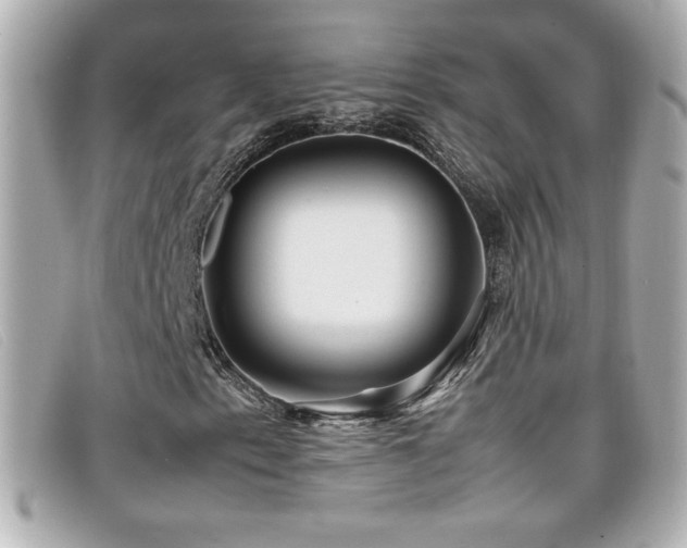 X0000099471153200805091541