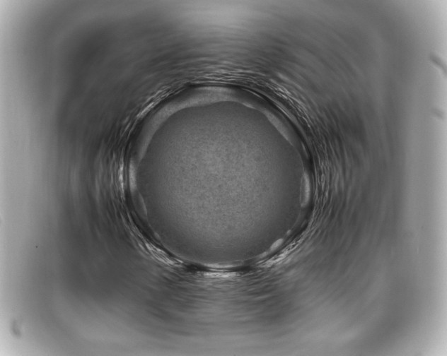 X0000099471154200805091541