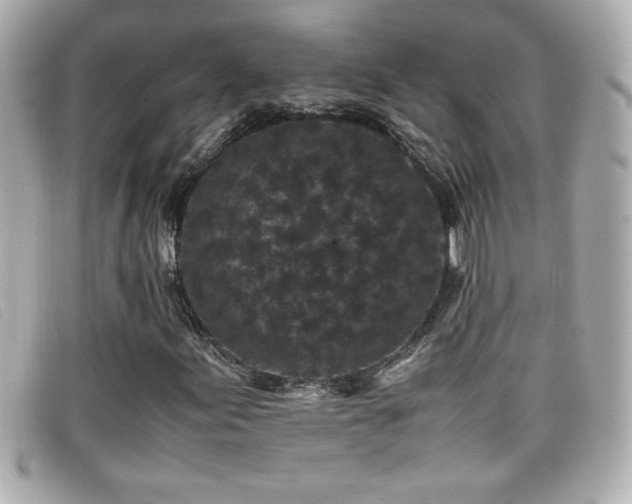 X0000099471155200805091541