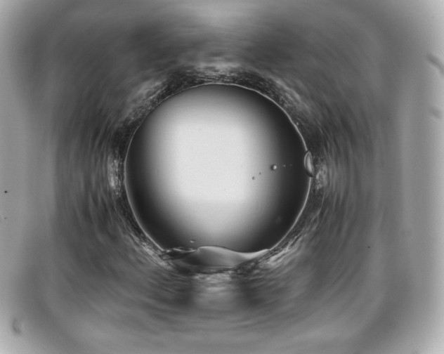 X0000099471156200805091541