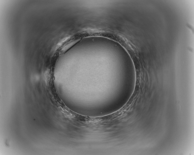 X0000099471157200805091541
