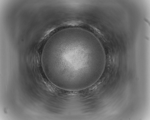 X0000099471158200805091541