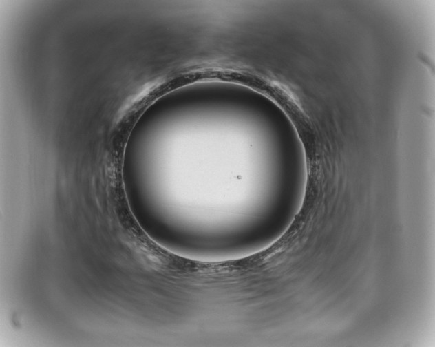 X0000099471159200805091541