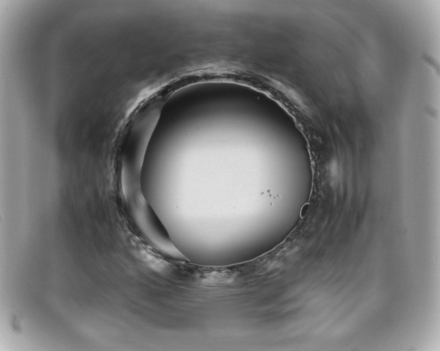 X0000099471160200805091541