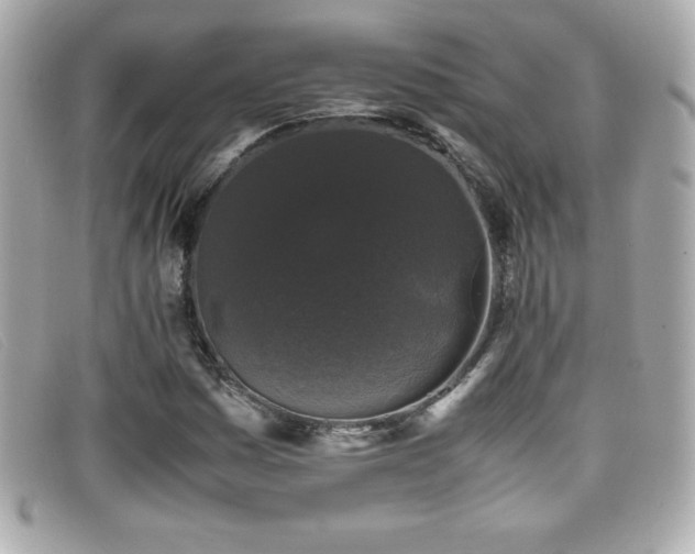 X0000099471161200805091541