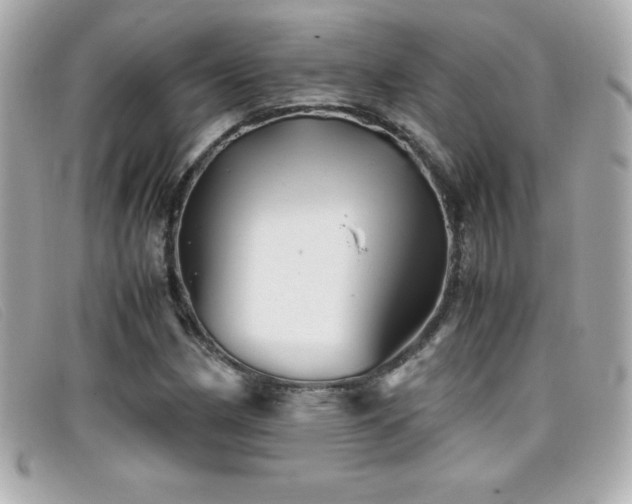 X0000099471162200805091541
