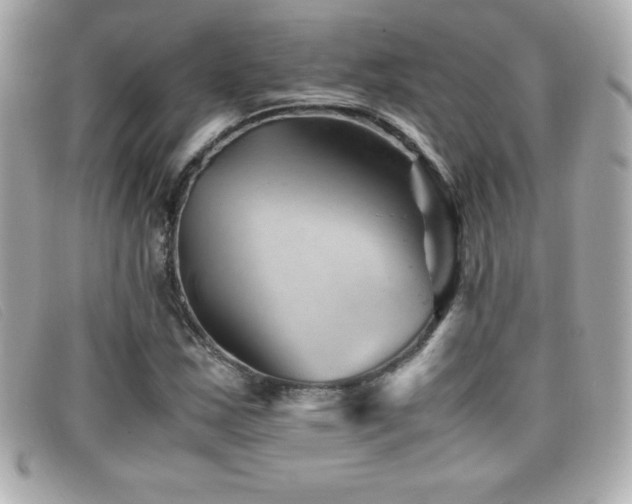 X0000099471163200805091541