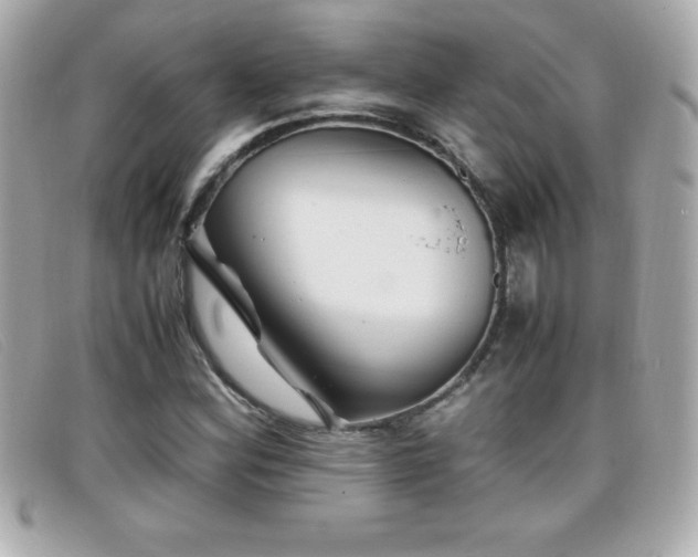 X0000099471164200805091541